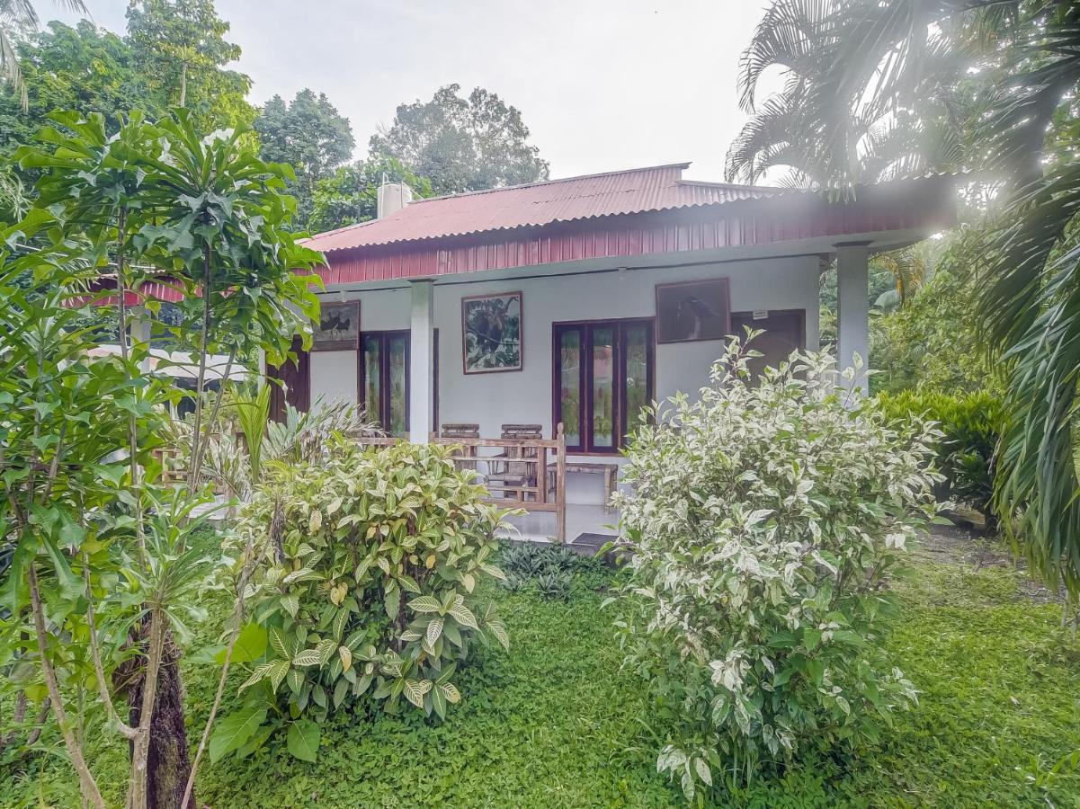 OYO 90988 Tangkoko Jungle Homestay Rinondoran Luaran gambar