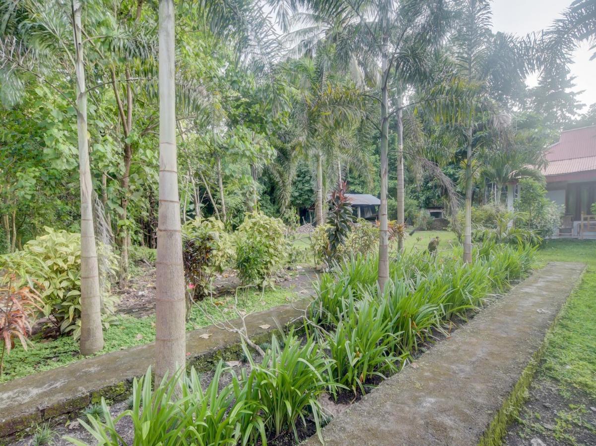 OYO 90988 Tangkoko Jungle Homestay Rinondoran Luaran gambar