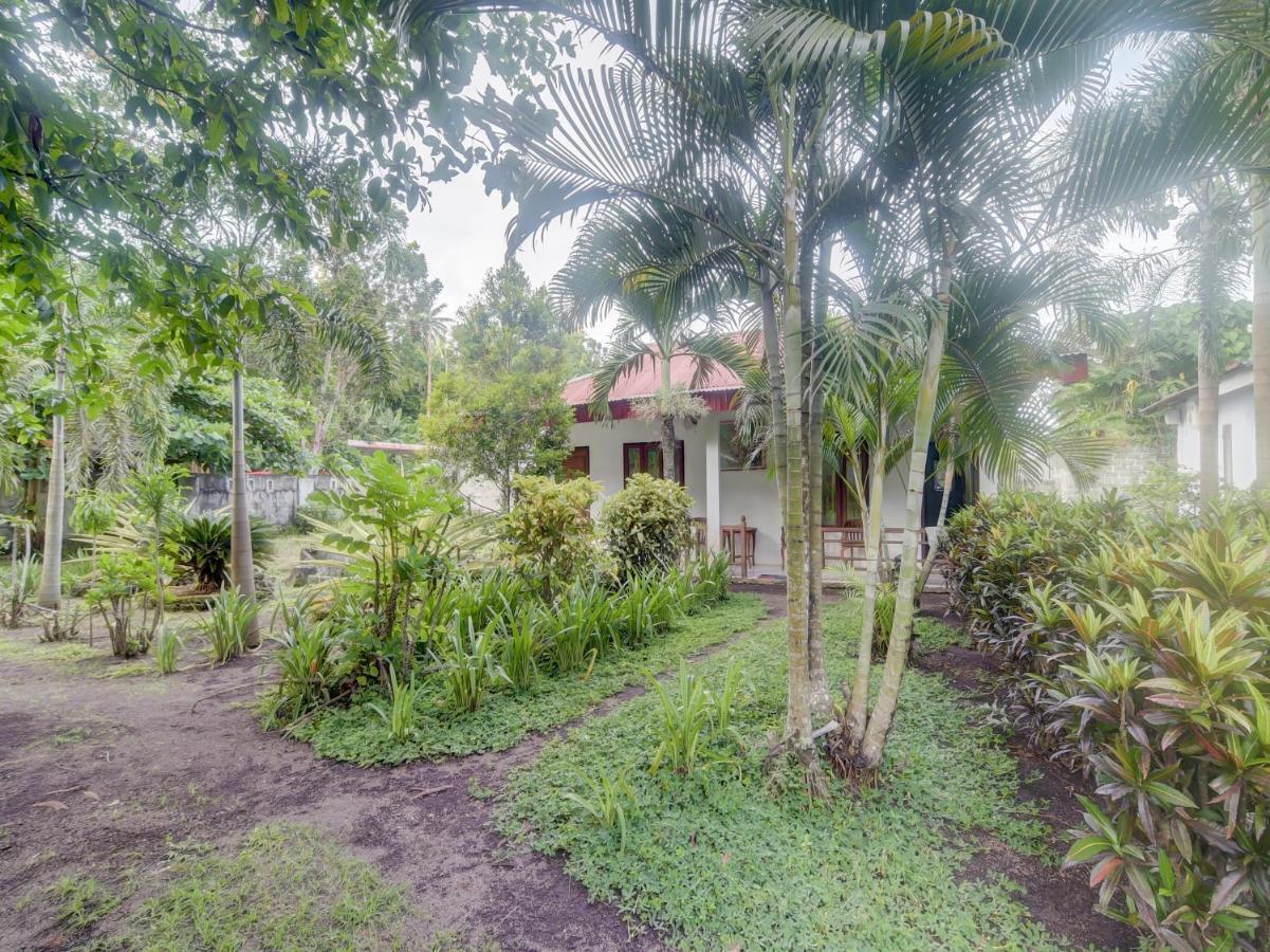 OYO 90988 Tangkoko Jungle Homestay Rinondoran Luaran gambar