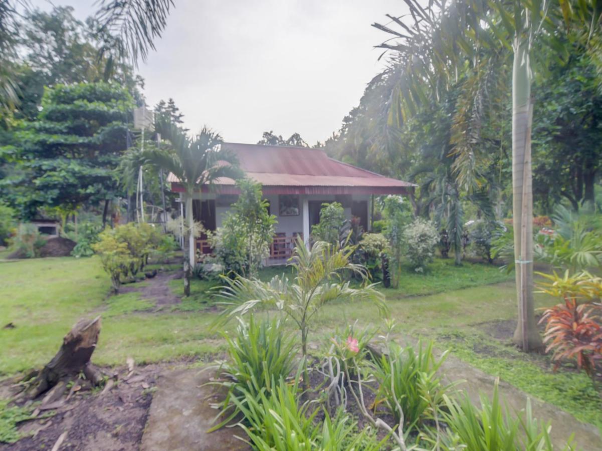 OYO 90988 Tangkoko Jungle Homestay Rinondoran Luaran gambar